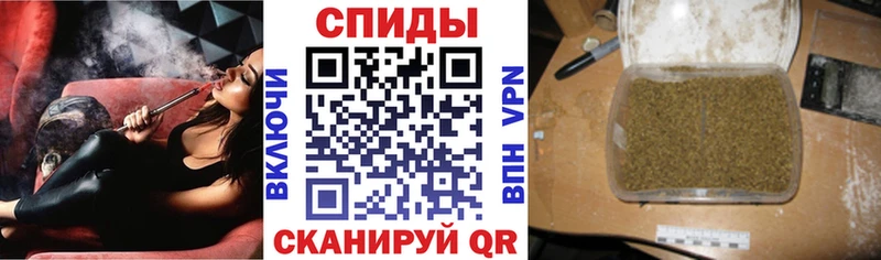 как найти закладки  Белый  Бутират 99% 