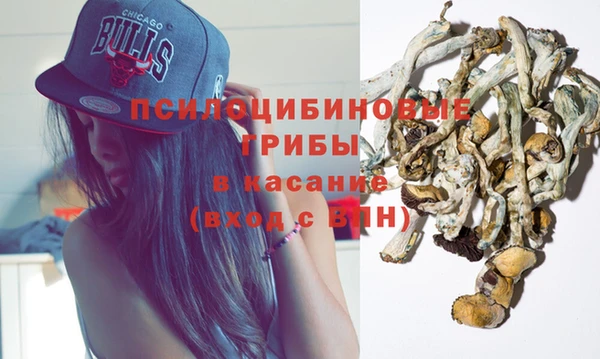apvp Апатиты