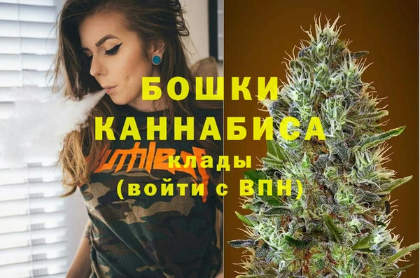 индика Елабуга