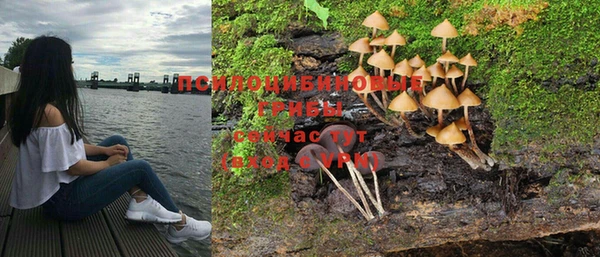PSILOCYBIN Анива
