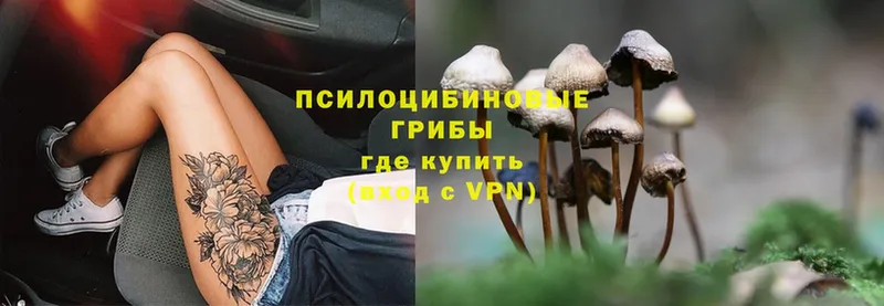 Галлюциногенные грибы Psilocybe  Белый 